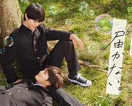 战歌网海报剧照