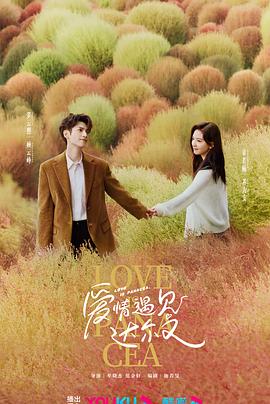 枪版蓝光版中文字幕包海报剧照